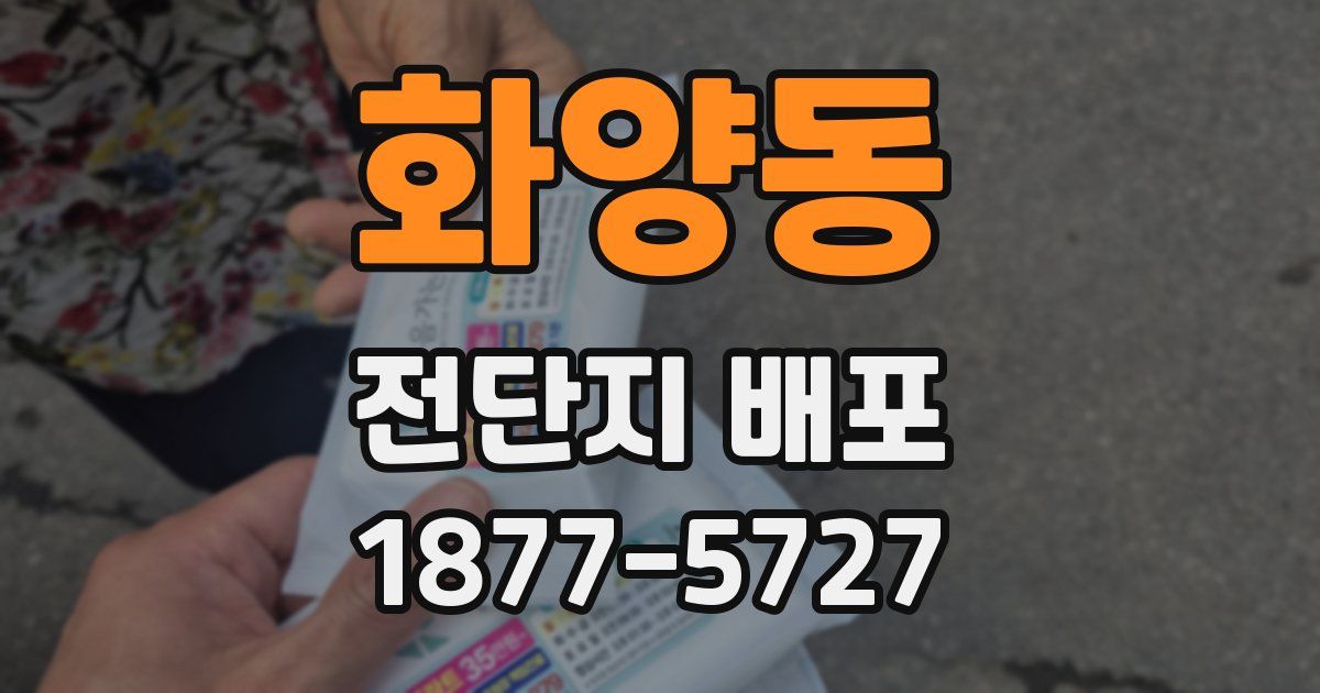 화양동 전단지 배포