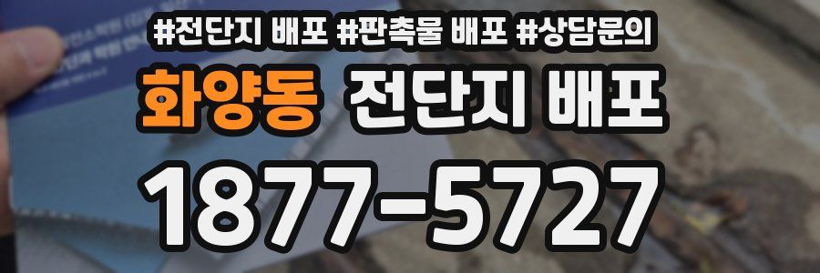 화양동 전단지 배포