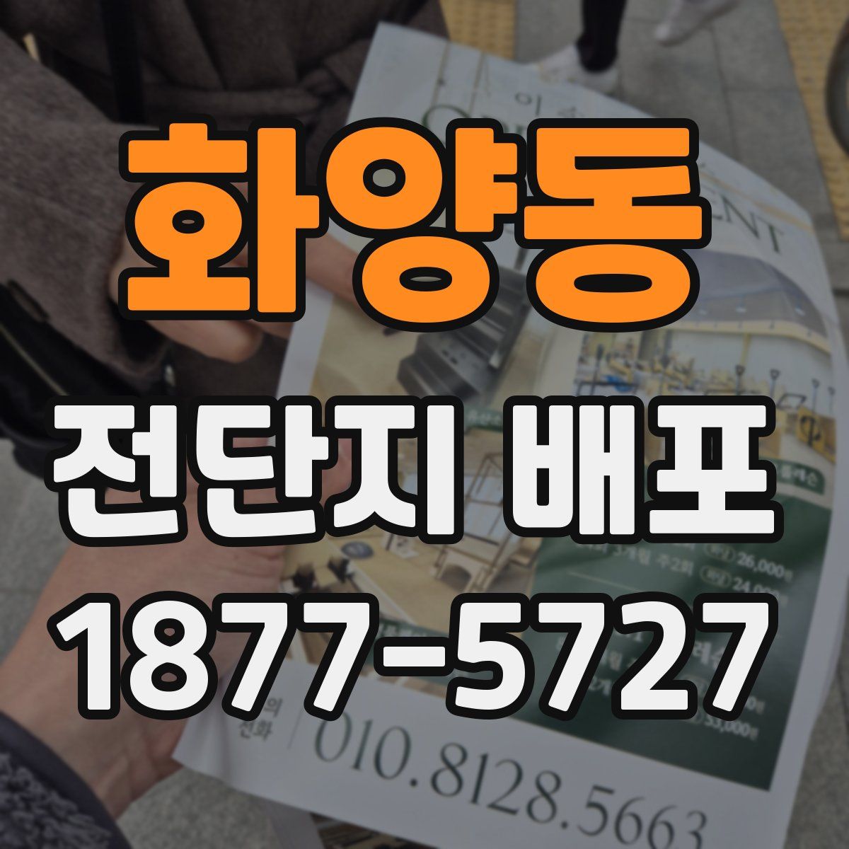 화양동 전단지 배포