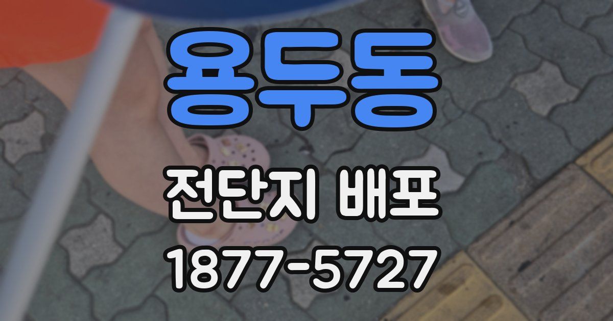 용두동 전단지 배포