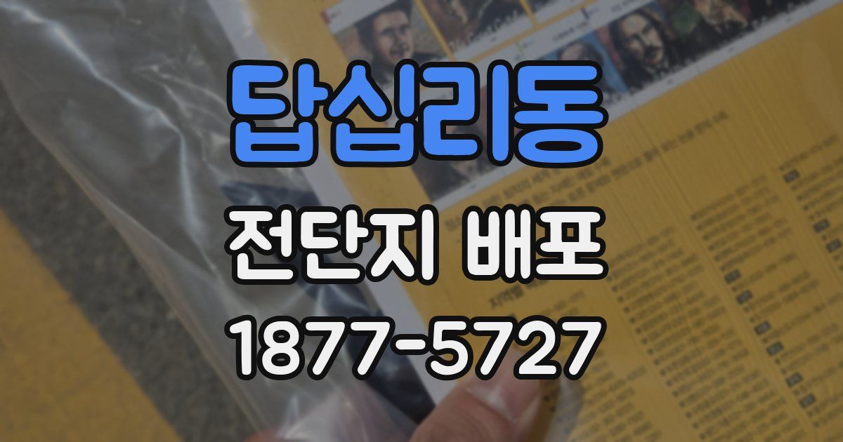 답십리동 전단지 배포