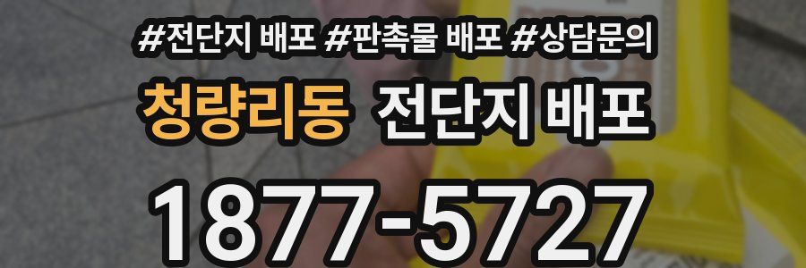 청량리동 전단지 배포