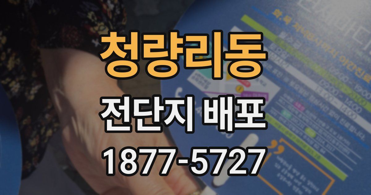청량리동 전단지 배포