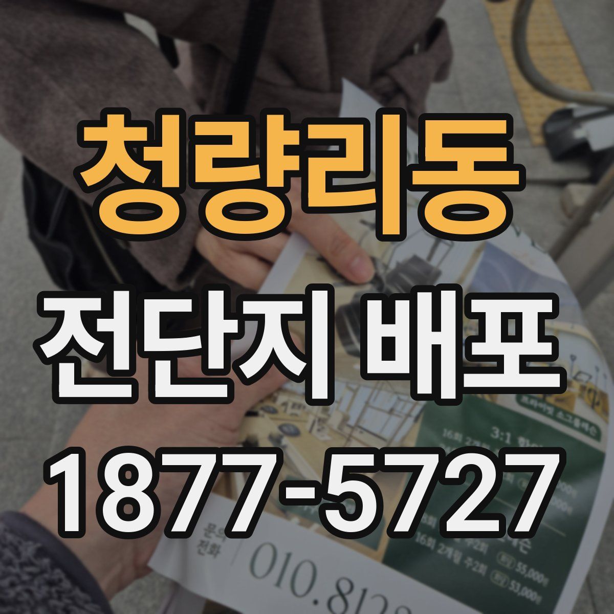 청량리동 전단지 배포