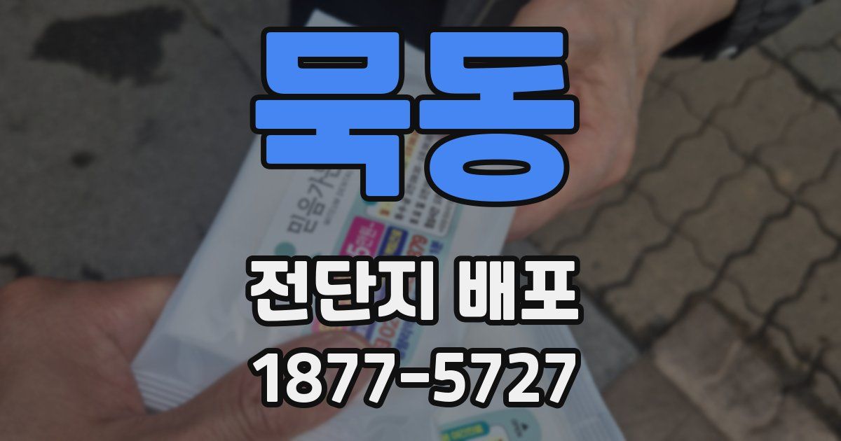 묵동 전단지 배포