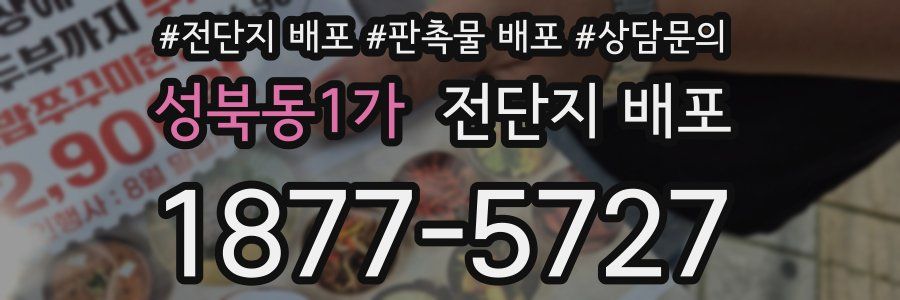 성북동1가 전단지 배포