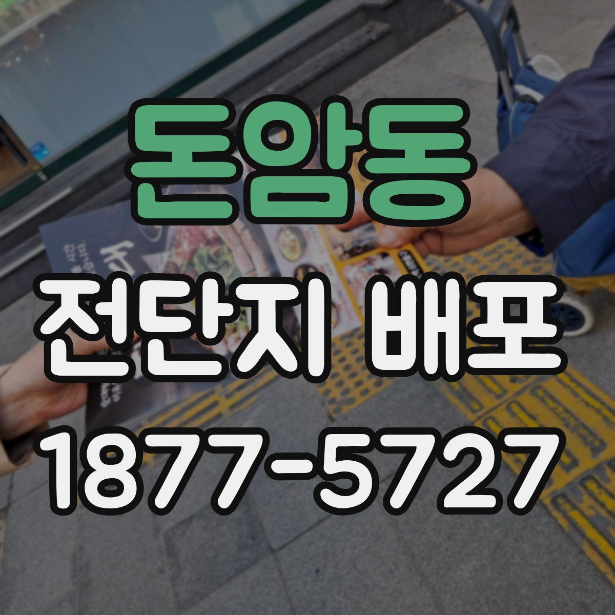돈암동 전단지 배포