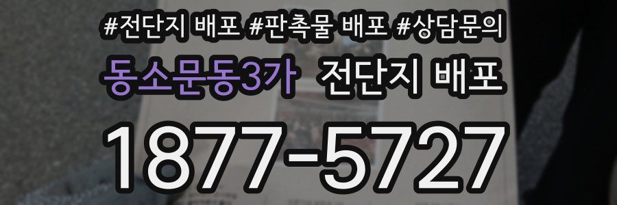 동소문동3가 전단지 배포