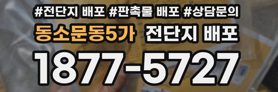 동소문동5가 전단지 배포