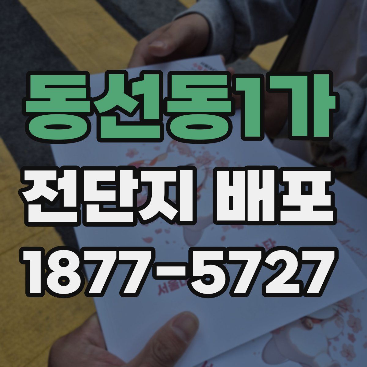 동선동1가 전단지 배포