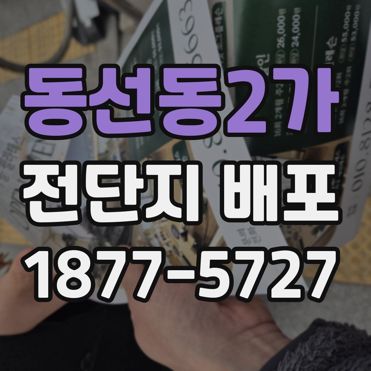 동선동2가 전단지 배포