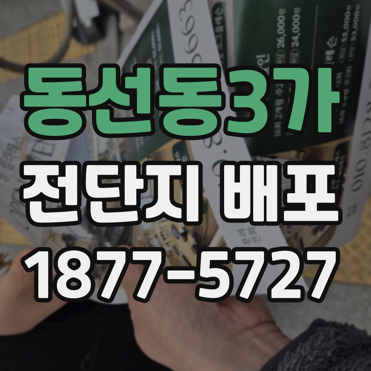 동선동3가 전단지 배포