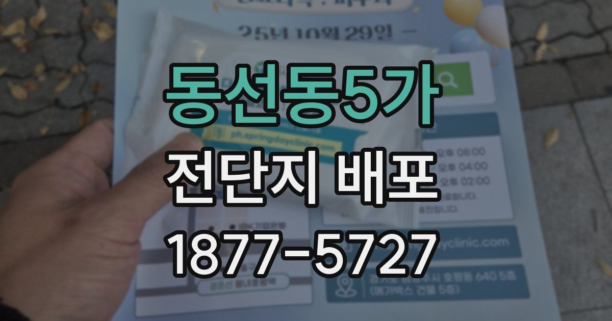 동선동5가 전단지 배포