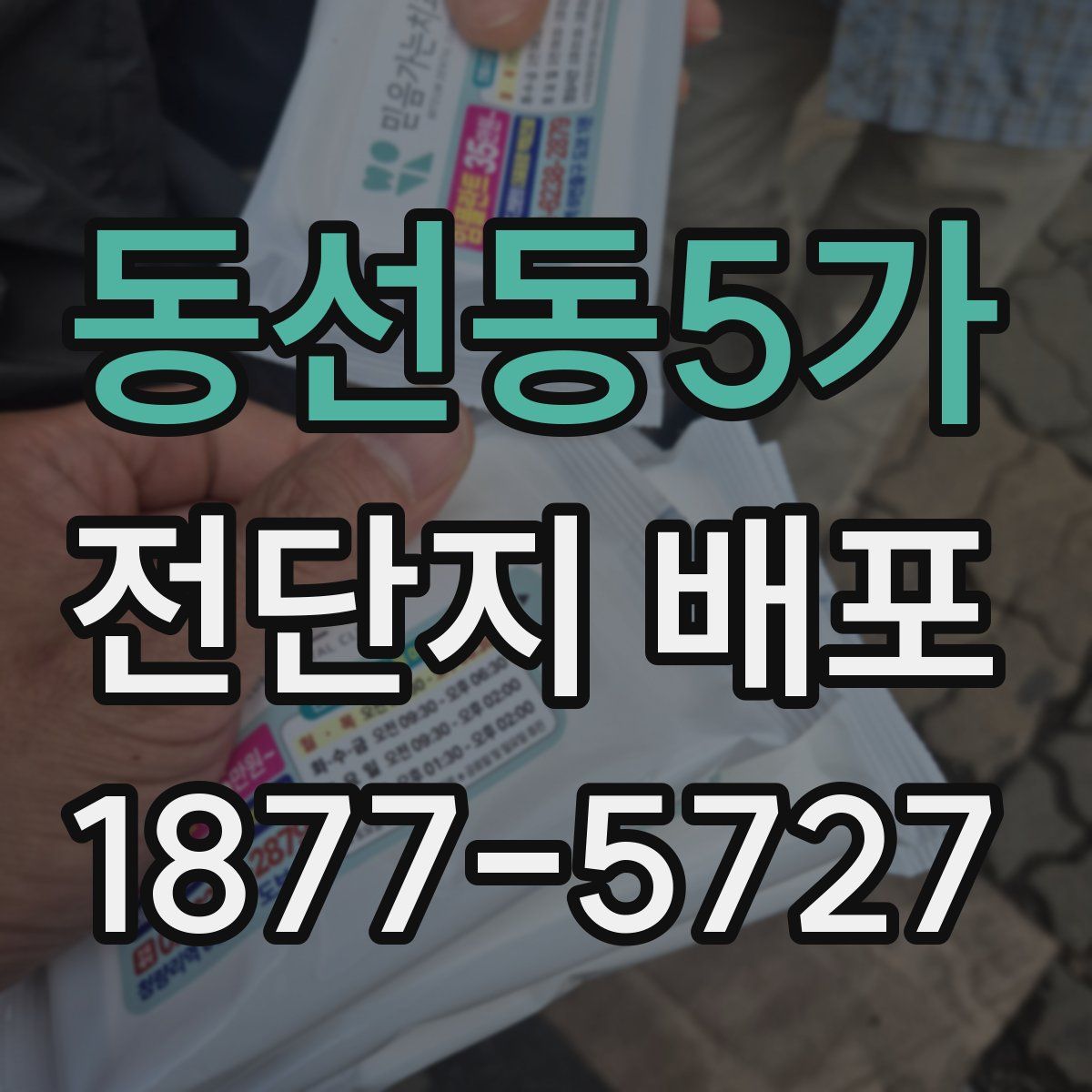 동선동5가 전단지 배포