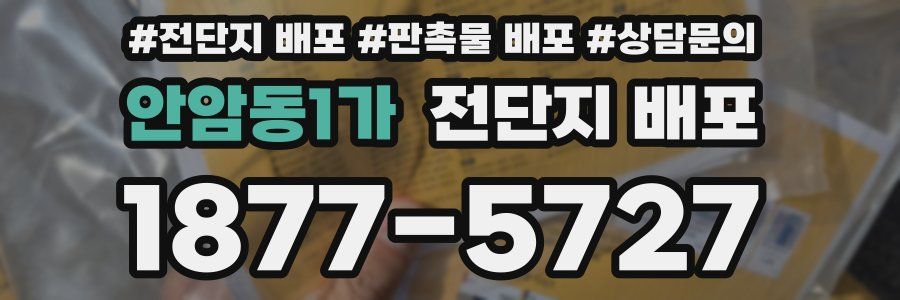 안암동1가 전단지 배포