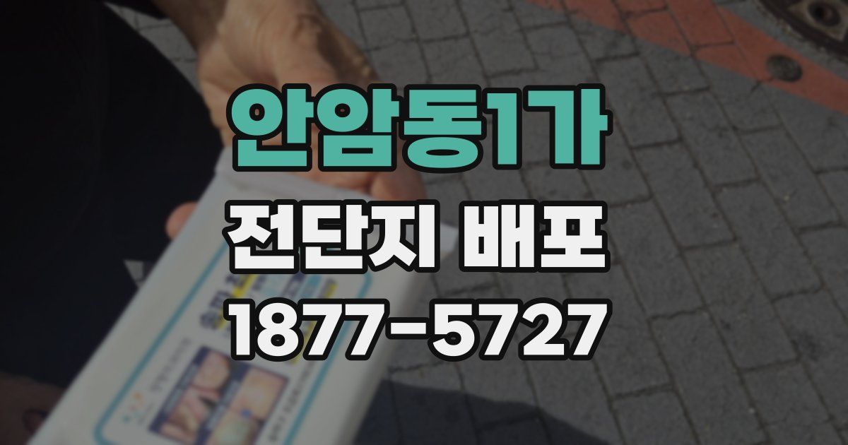 안암동1가 전단지 배포