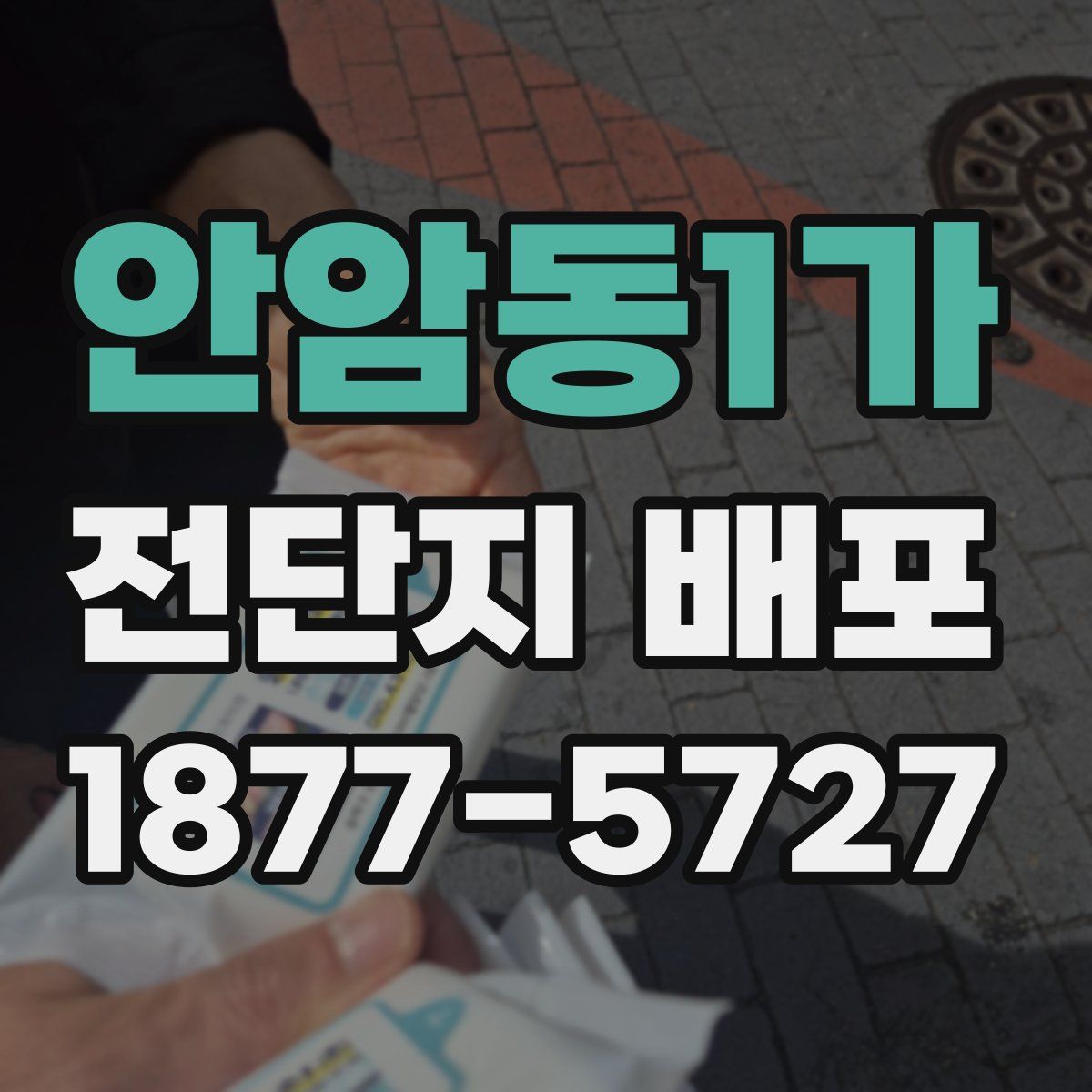 안암동1가 전단지 배포