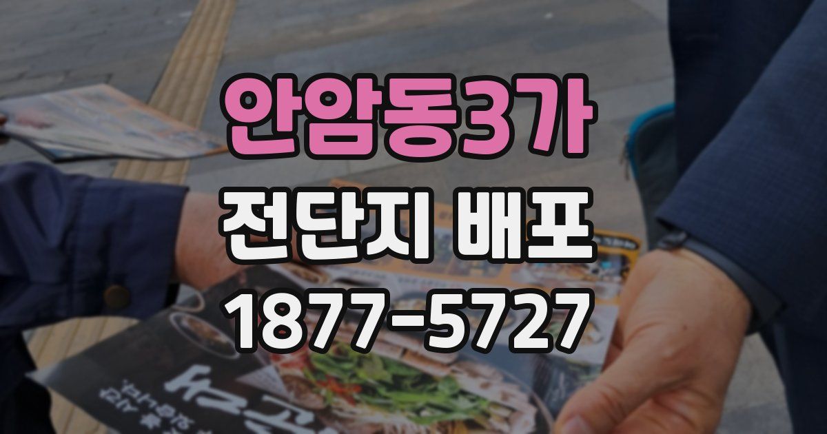 안암동3가 전단지 배포