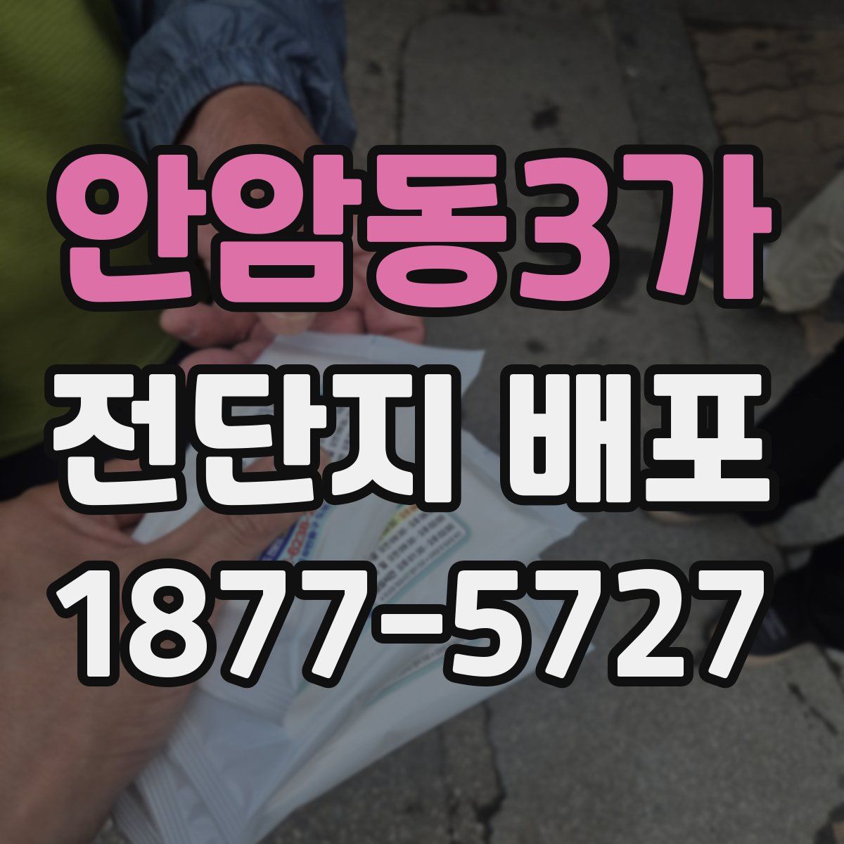 안암동3가 전단지 배포