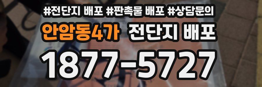 안암동4가 전단지 배포