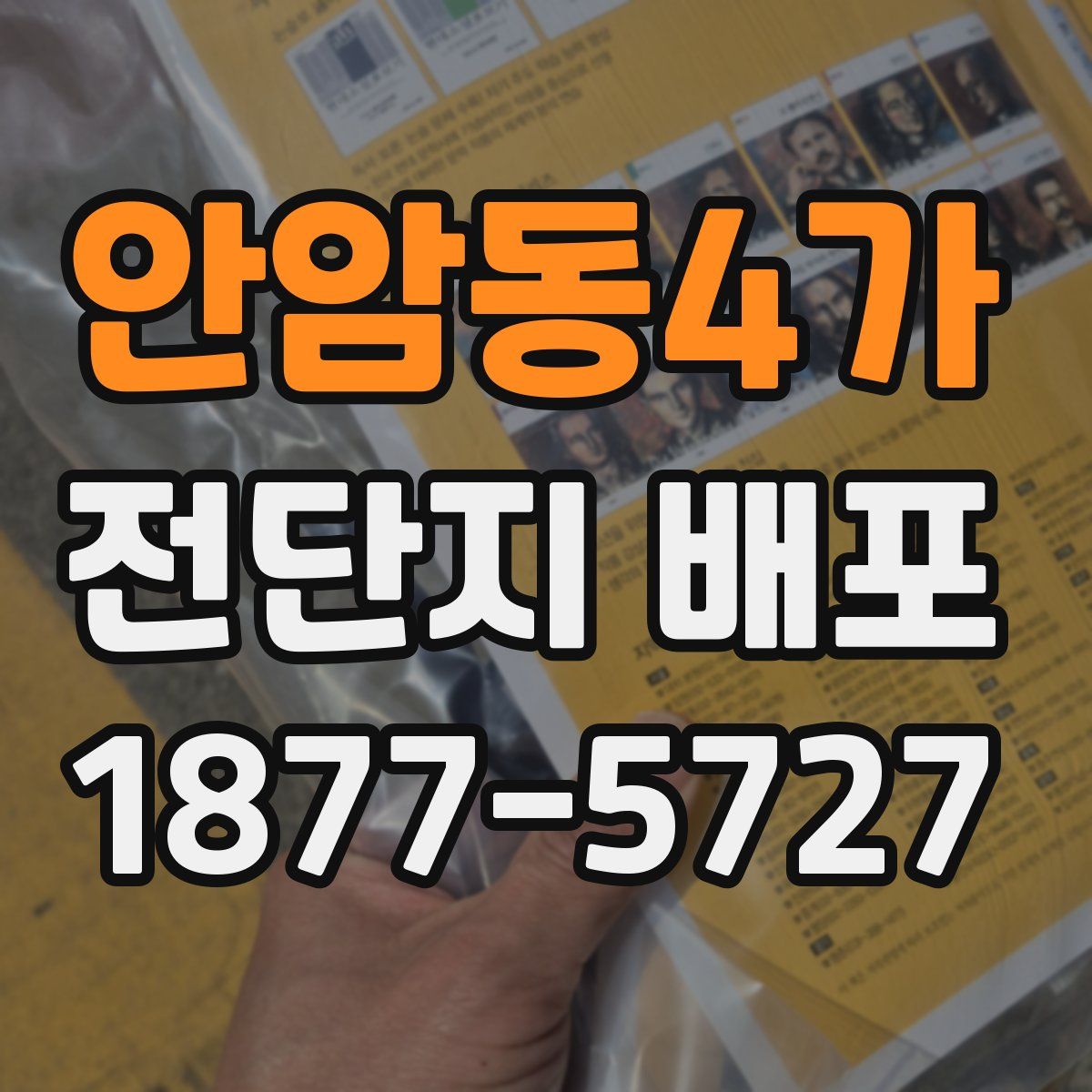 안암동4가 전단지 배포
