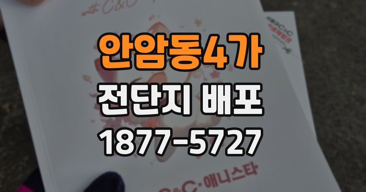 안암동4가 전단지 배포