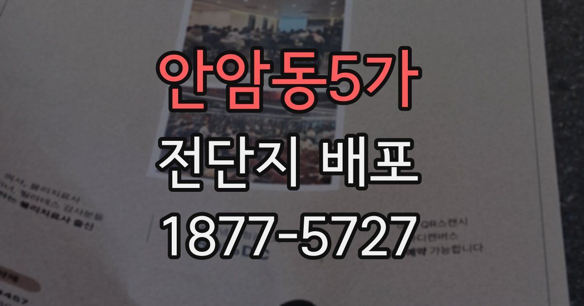 안암동5가 전단지 배포