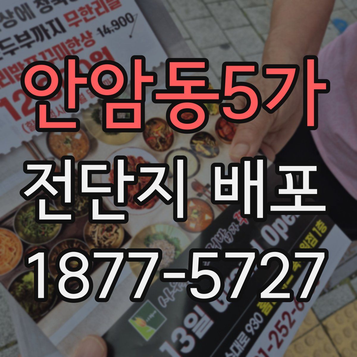안암동5가 전단지 배포