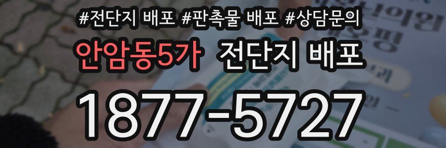 안암동5가 전단지 배포