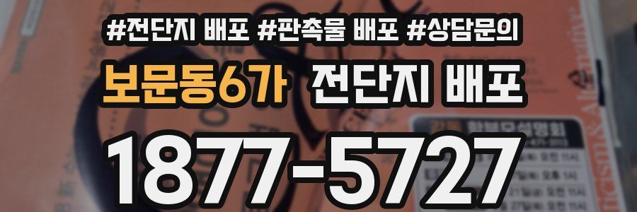 보문동6가 전단지 배포