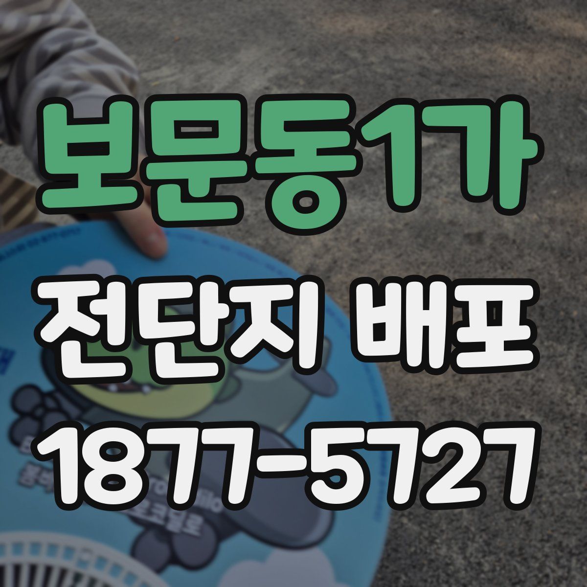 보문동1가 전단지 배포