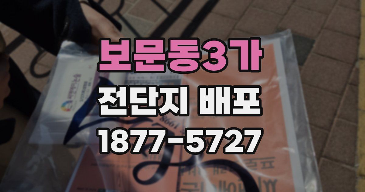 보문동3가 전단지 배포