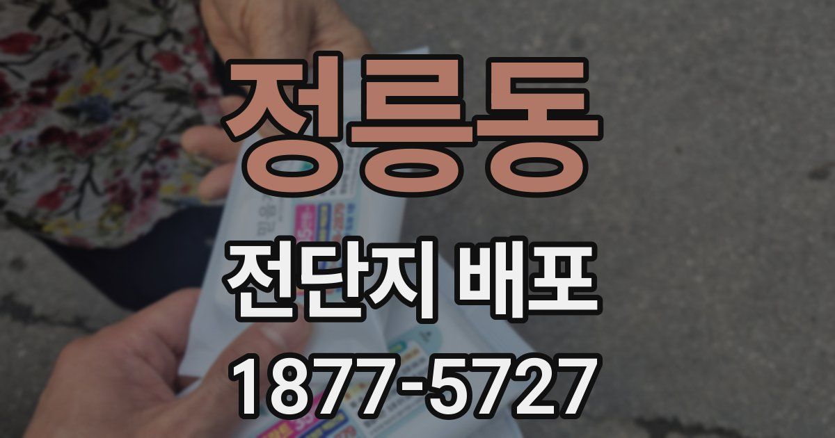 정릉동 전단지 배포