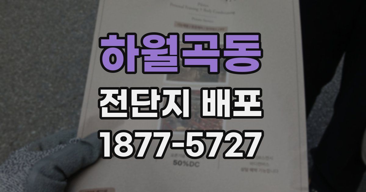 하월곡동 전단지 배포