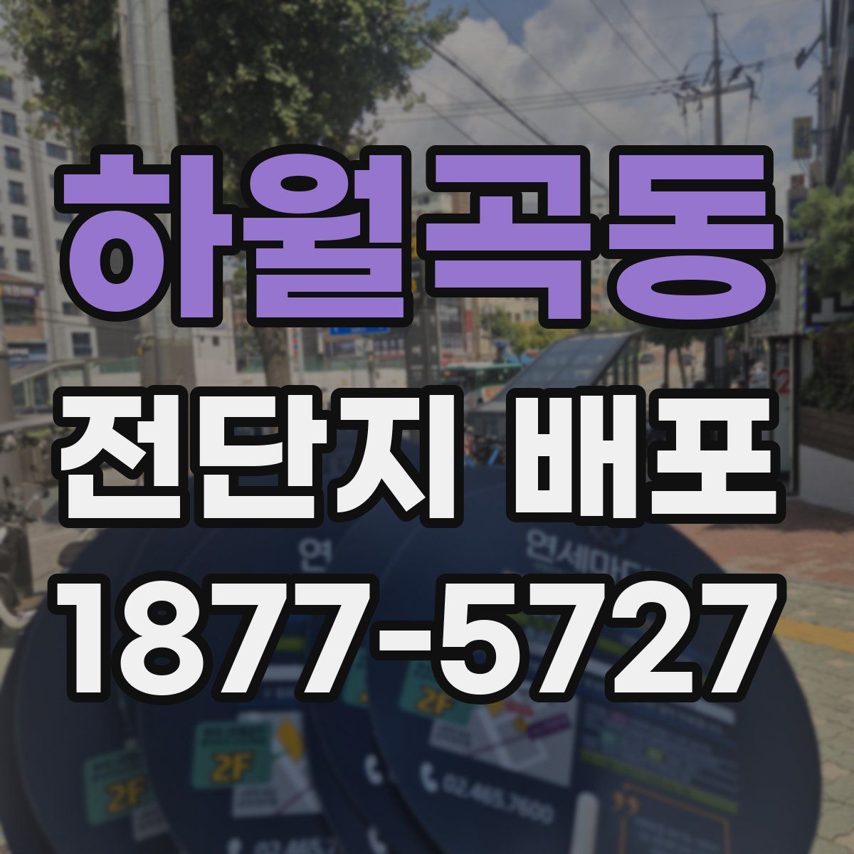 하월곡동 전단지 배포