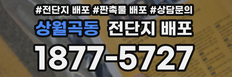 상월곡동 전단지 배포