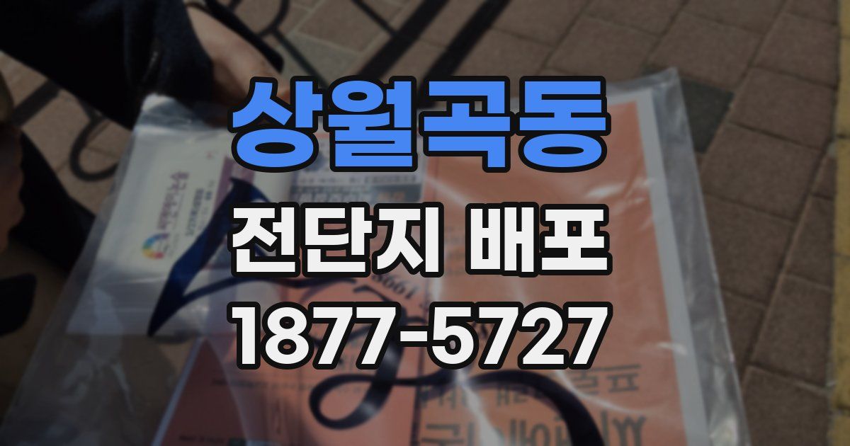 상월곡동 전단지 배포