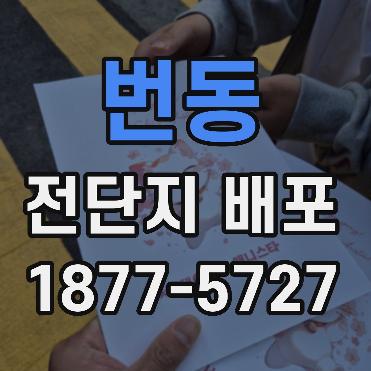 번동 전단지 배포