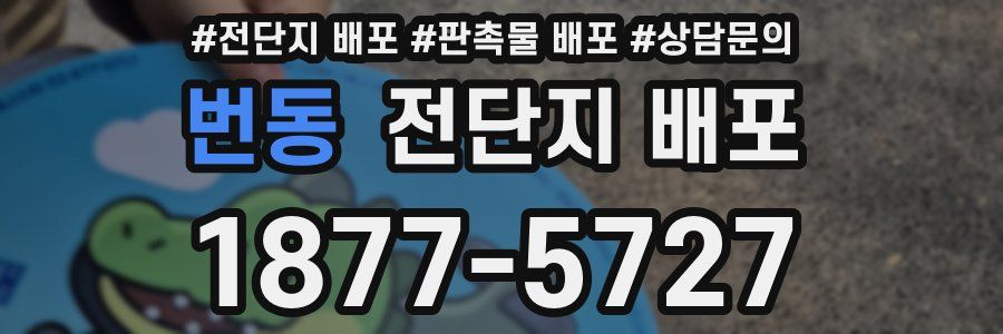 번동 전단지 배포
