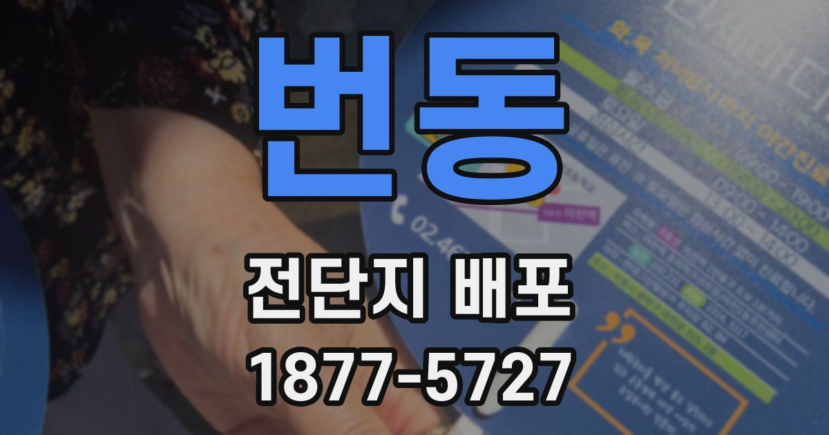 번동 전단지 배포