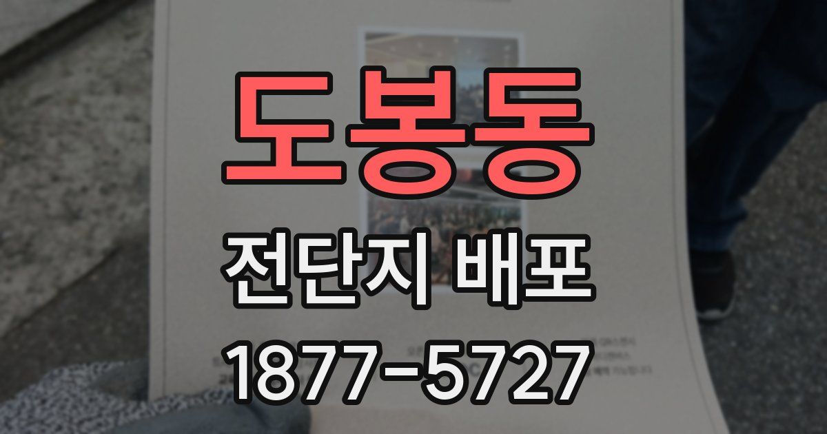 도봉동 전단지 배포