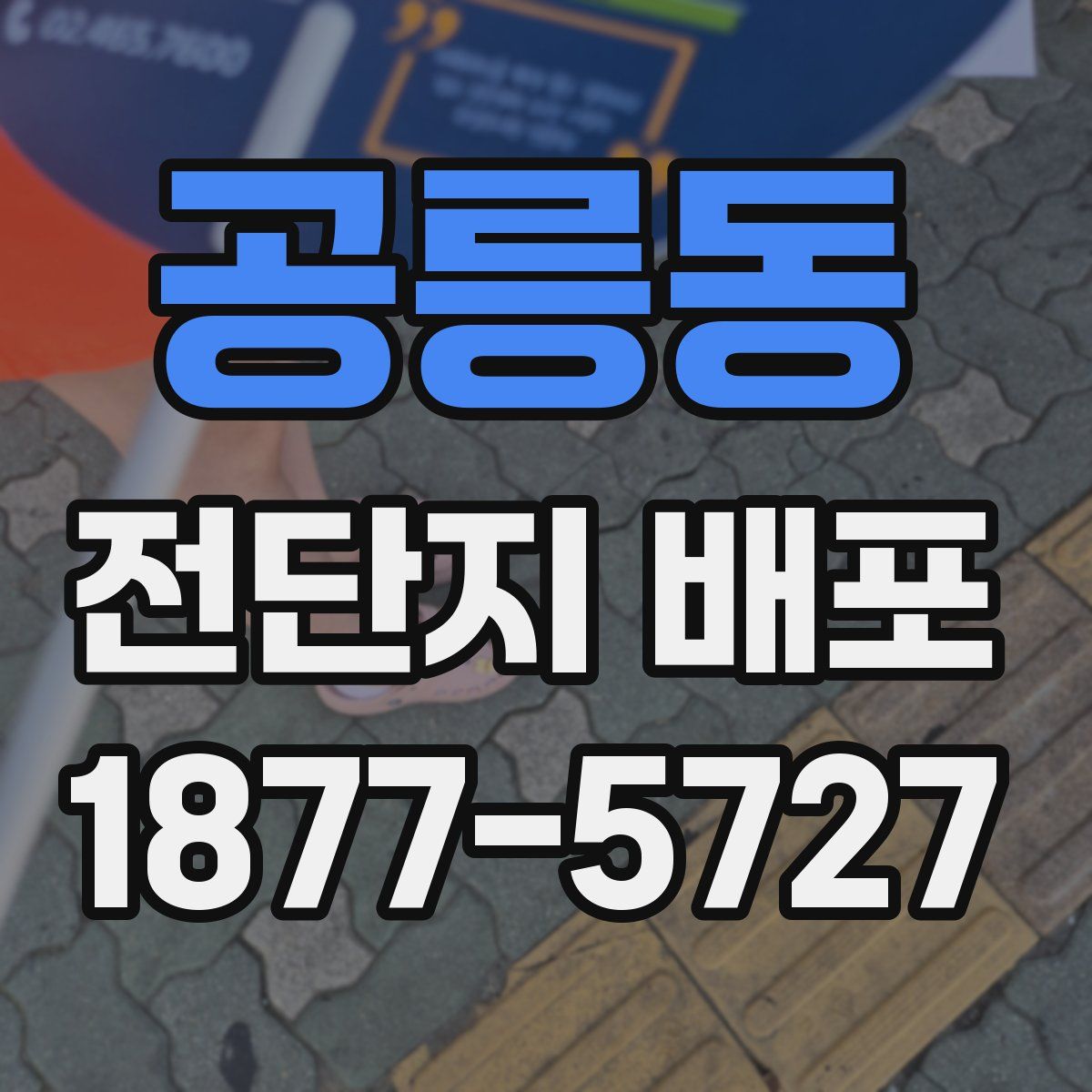 공릉동 전단지 배포