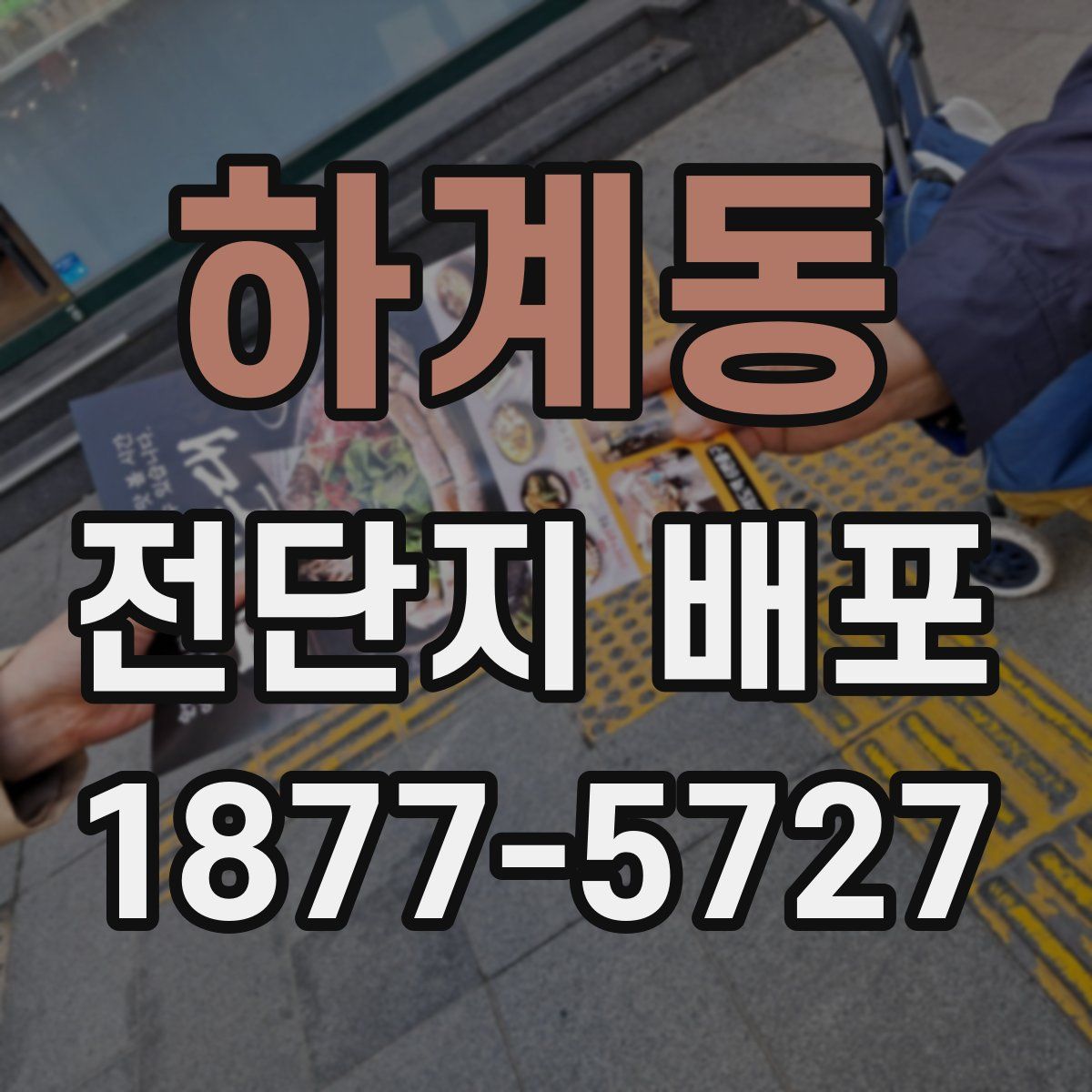 하계동 전단지 배포