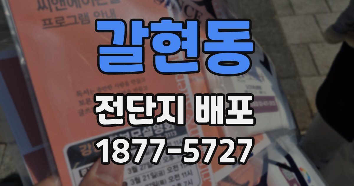 갈현동 전단지 배포