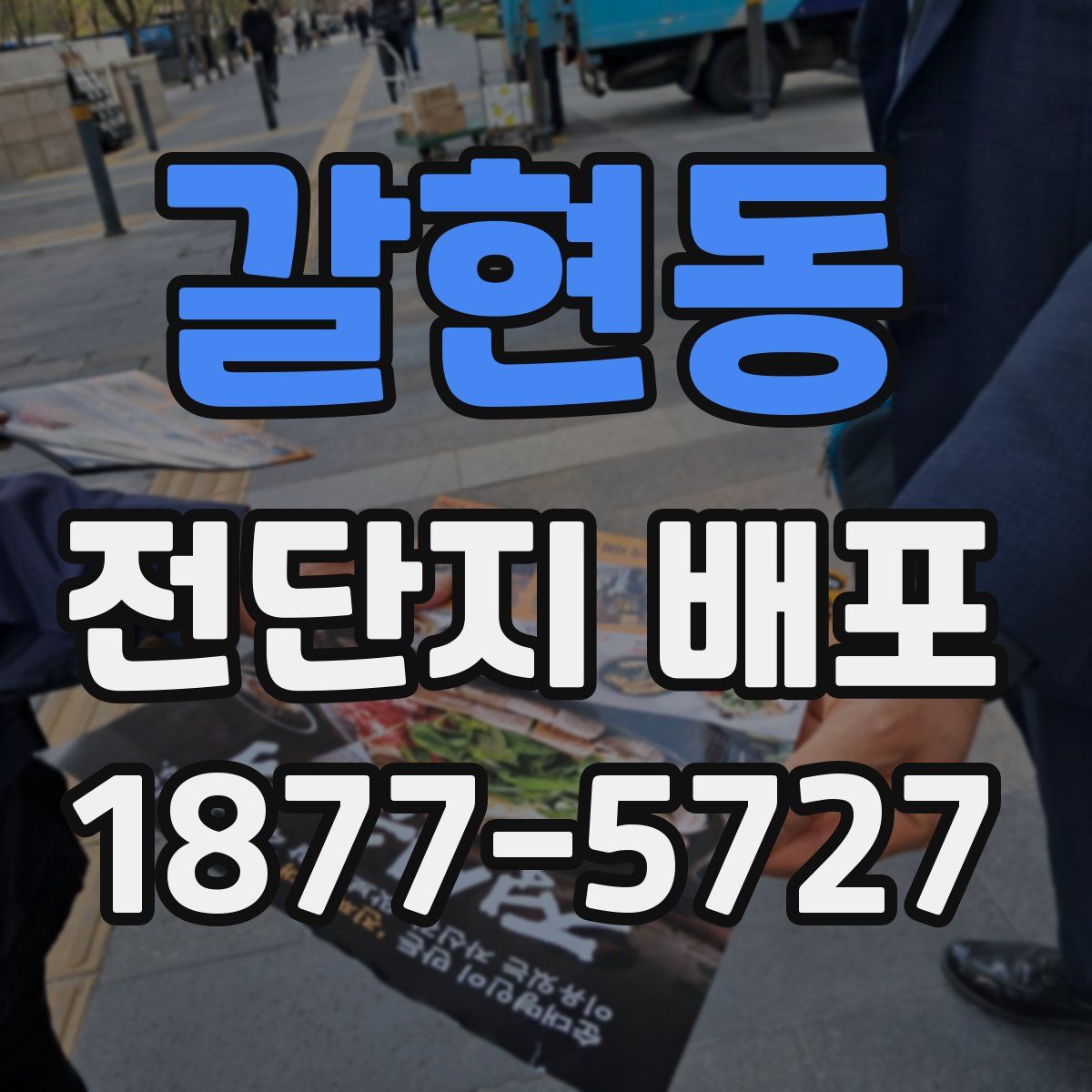 갈현동 전단지 배포
