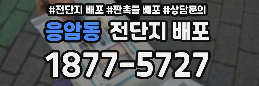 응암동 전단지 배포