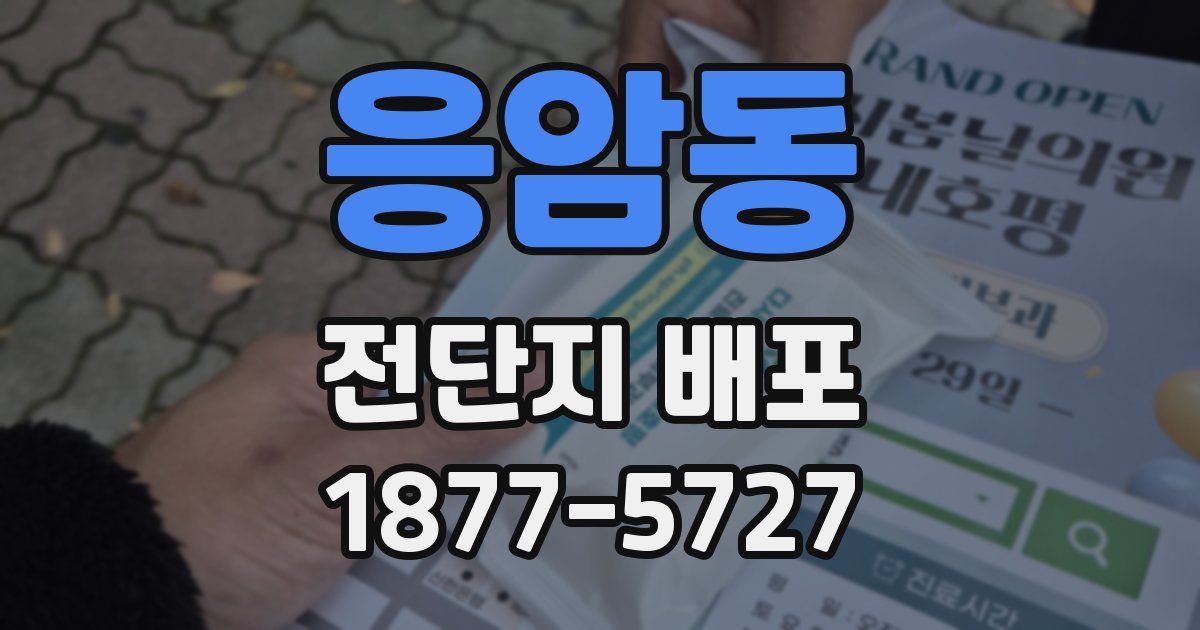 응암동 전단지 배포