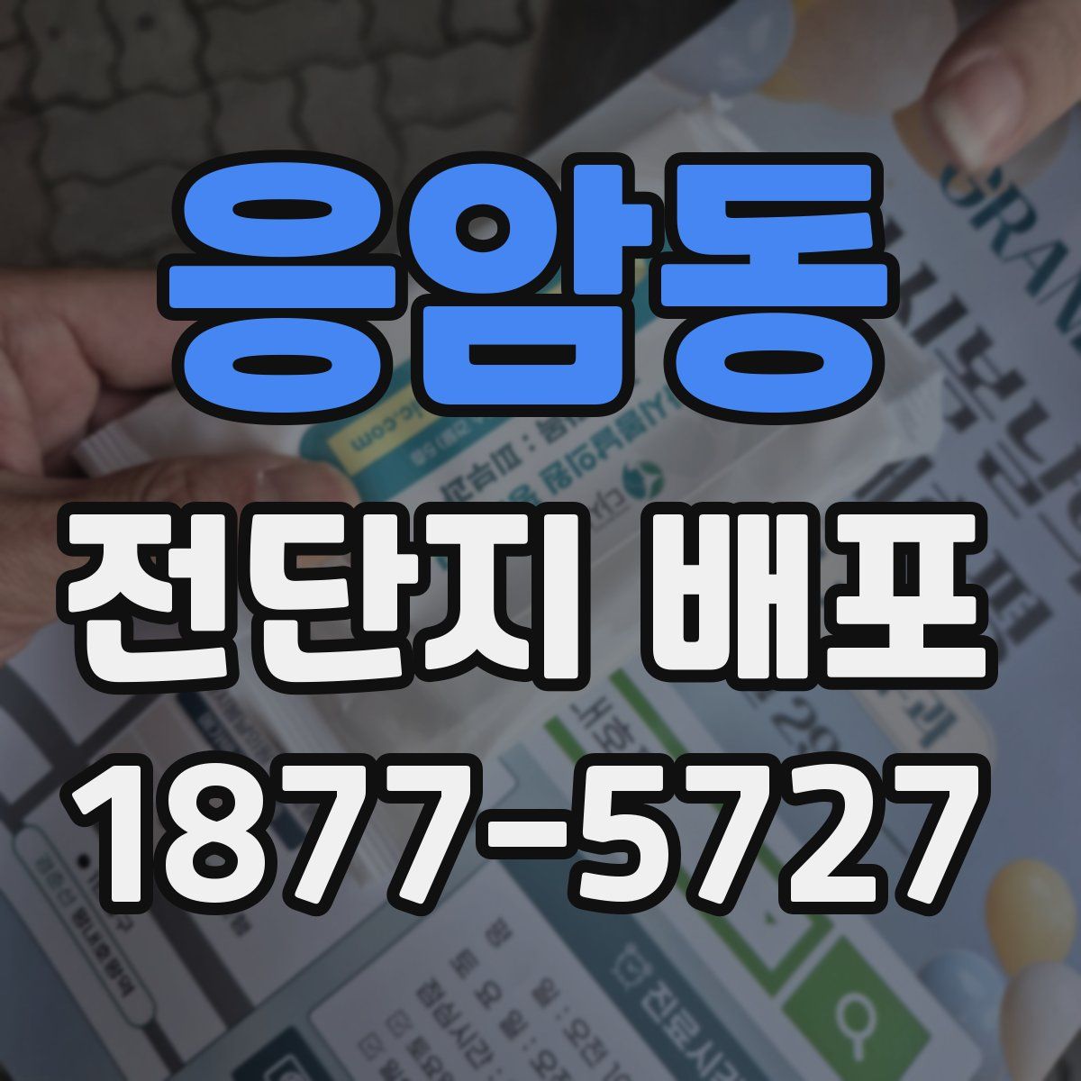 응암동 전단지 배포