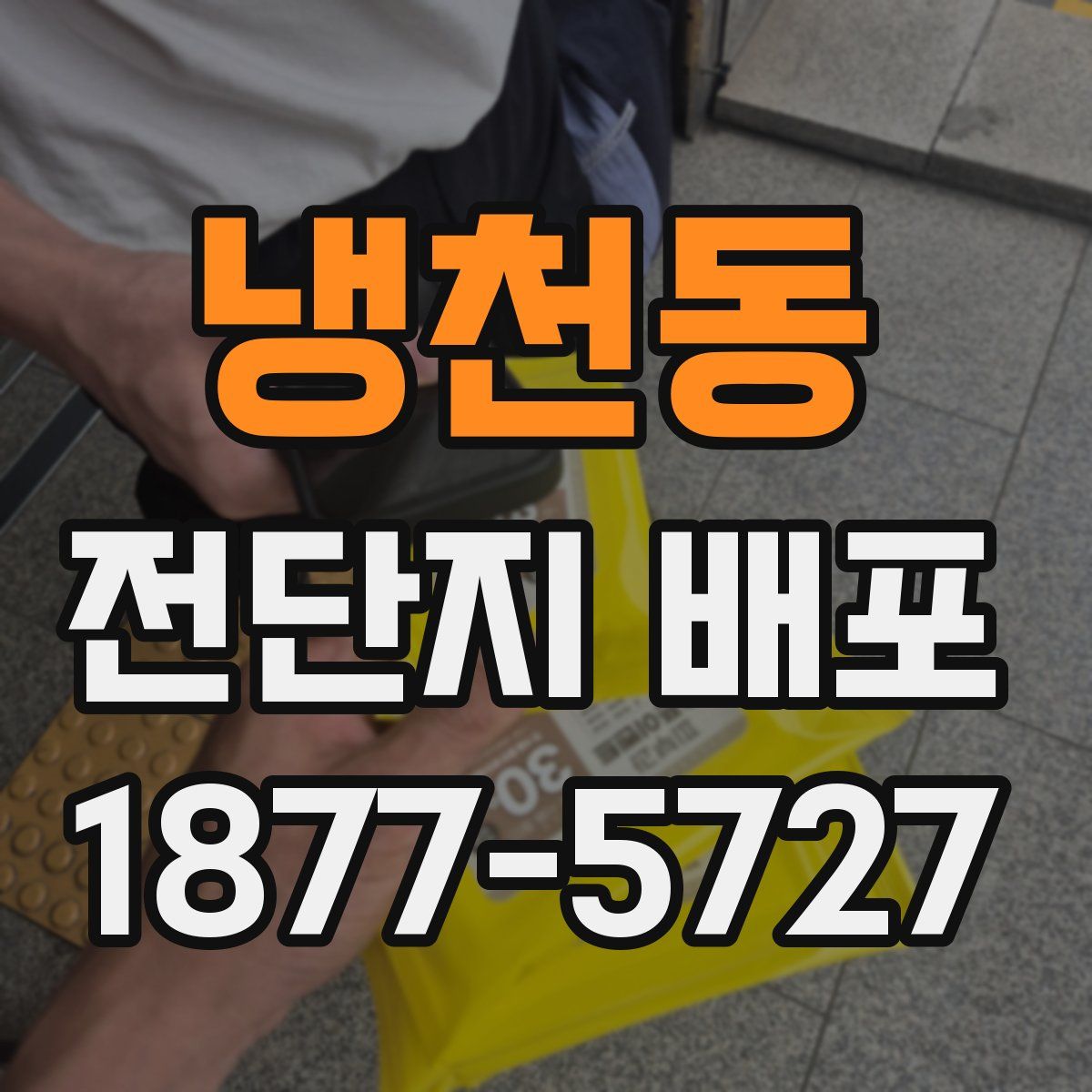 냉천동 전단지 배포