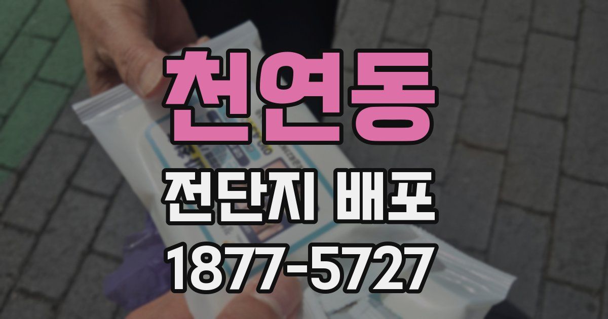 천연동 전단지 배포